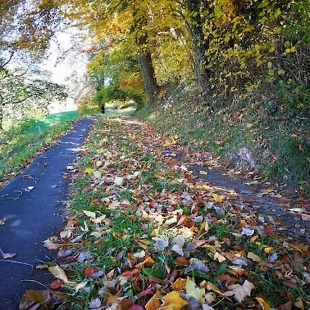 アパート Thun Alps Scenic Views And Concierge By Swisshut