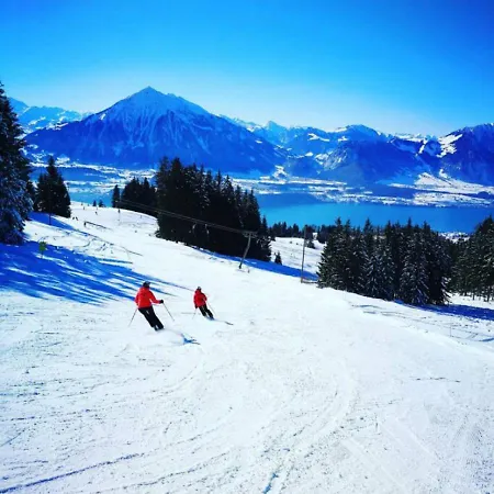 Thun Alps Scenic Views And Concierge By Swisshut ジーグリスヴィル