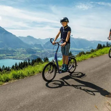 Thun Alps Scenic Views And Concierge By Swisshut Sigriswil