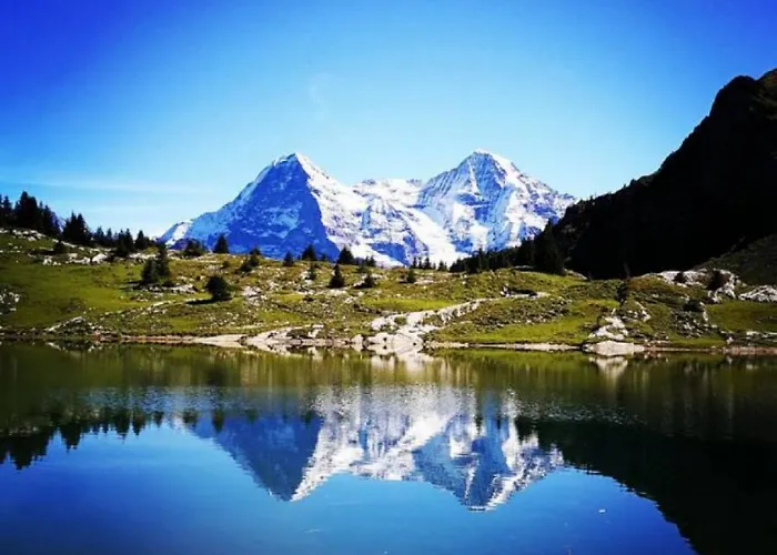 Thun Alps Scenic Views And Concierge By Swisshut 公寓 斯格里维尔