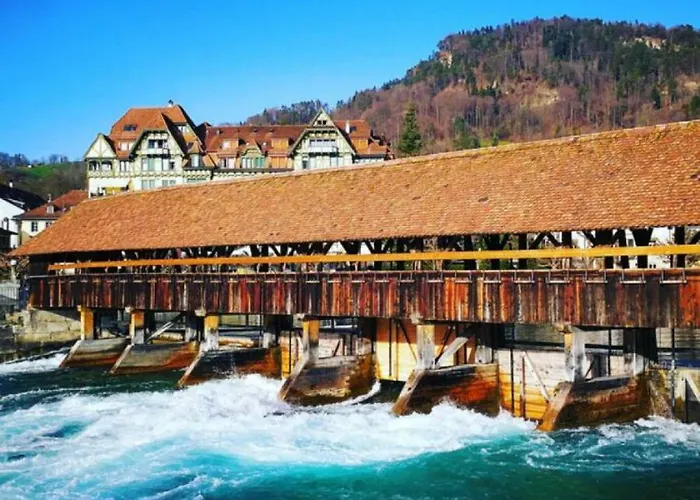 Thun Alps Scenic Views And Concierge By Swisshut *