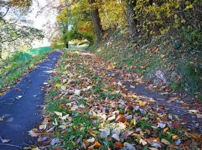 公寓 Thun Alps Scenic Views And Concierge By Swisshut