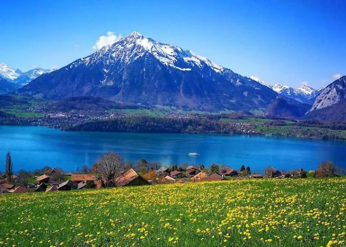 公寓 Thun Alps Scenic Views And Concierge By Swisshut 斯格里维尔