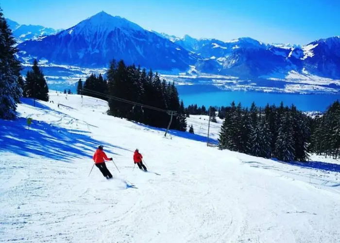 Thun Alps Scenic Views And Concierge By Swisshut 斯格里维尔