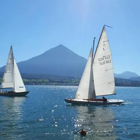 Thun Alps Scenic Views And Concierge By Swisshut Daire