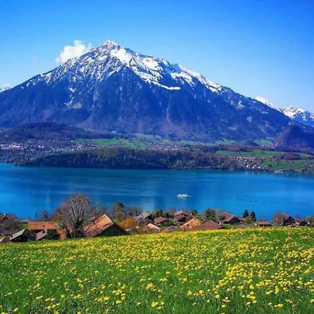 Daire Thun Alps Scenic Views And Concierge By Swisshut Sigriswil