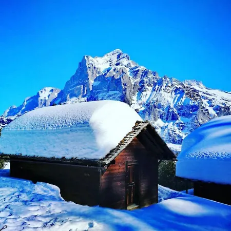 Thun Alps Scenic Views And Concierge By Swisshut